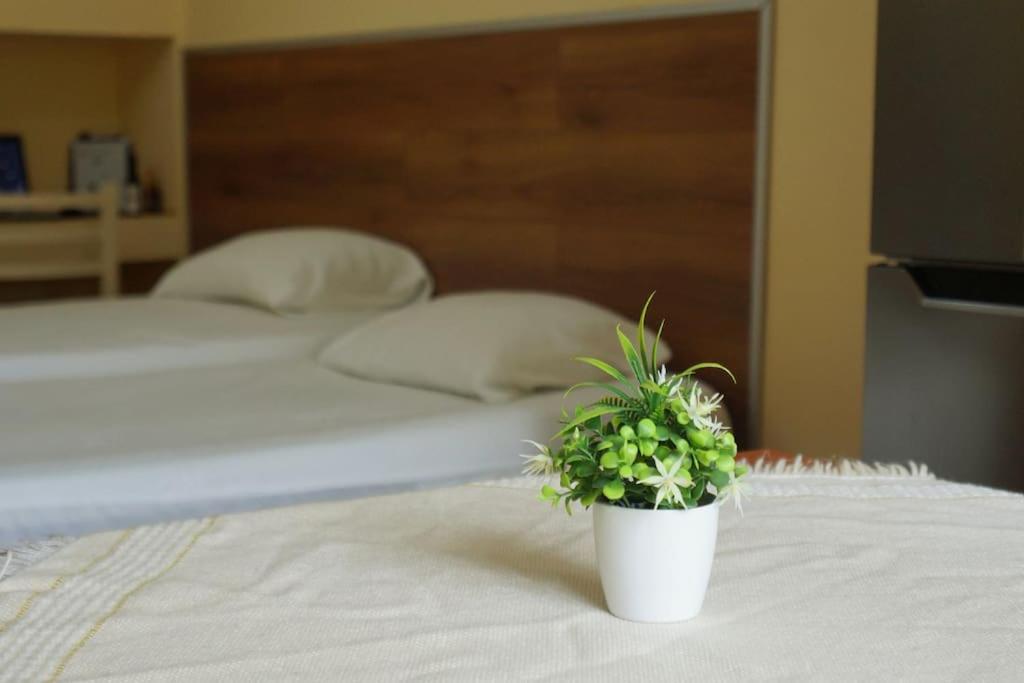 Alle'S M Shyri Studio Apartment Тирана Экстерьер фото