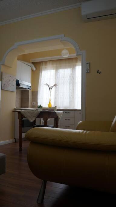 Alle'S M Shyri Studio Apartment Тирана Экстерьер фото