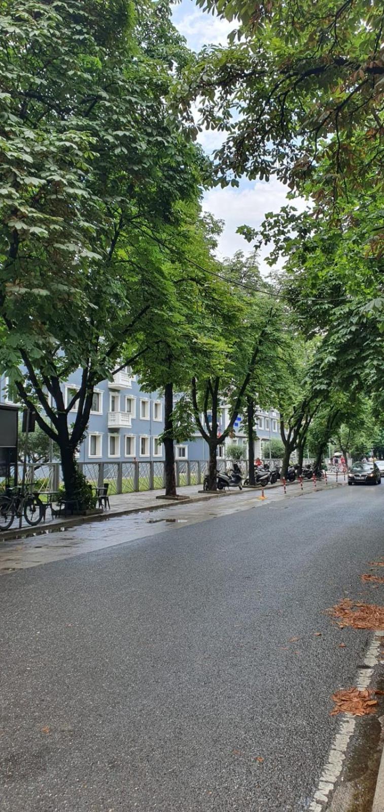 Alle'S M Shyri Studio Apartment Тирана Экстерьер фото