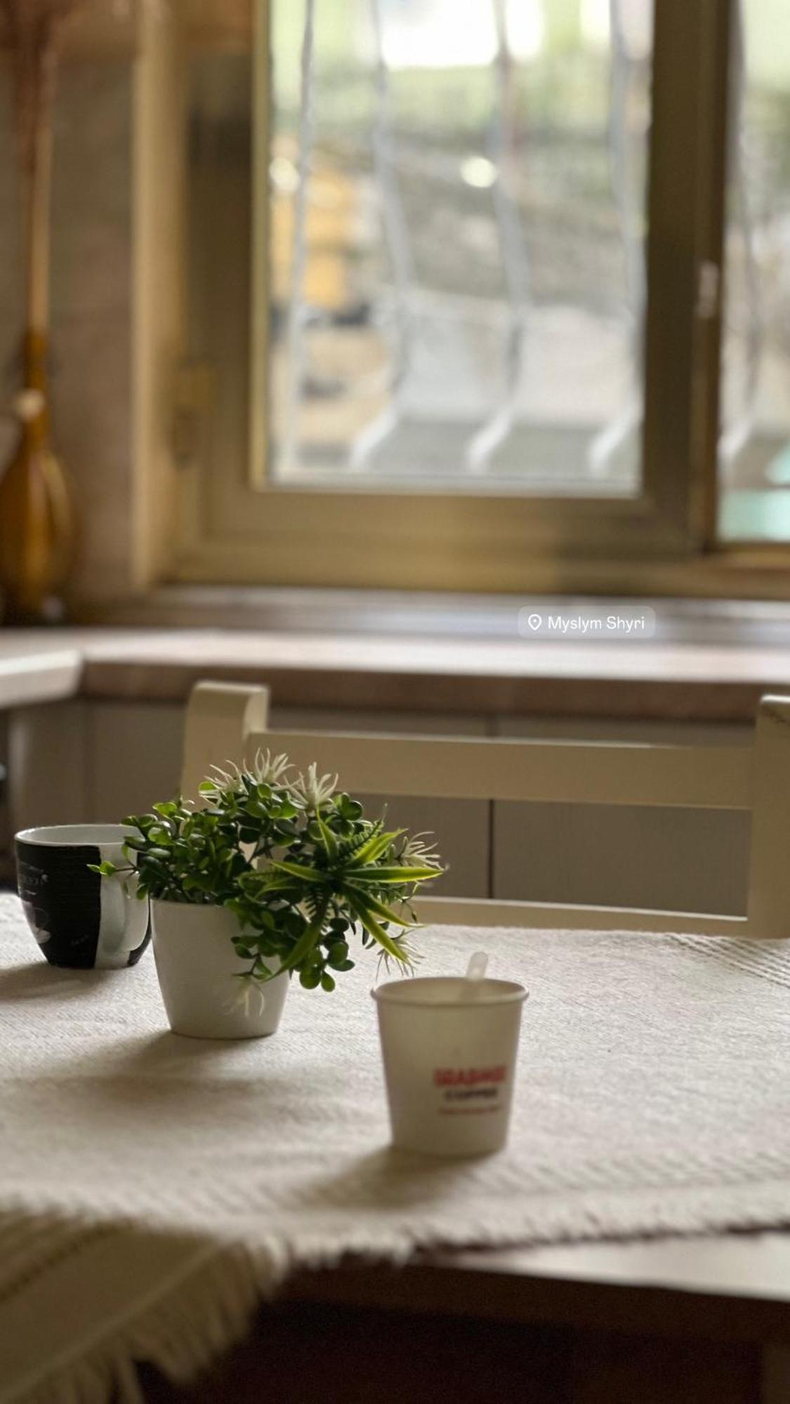 Alle'S M Shyri Studio Apartment Тирана Экстерьер фото